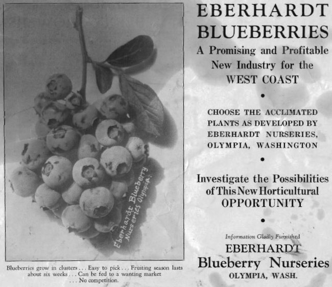 Advert for Eberhardt berries.jpg